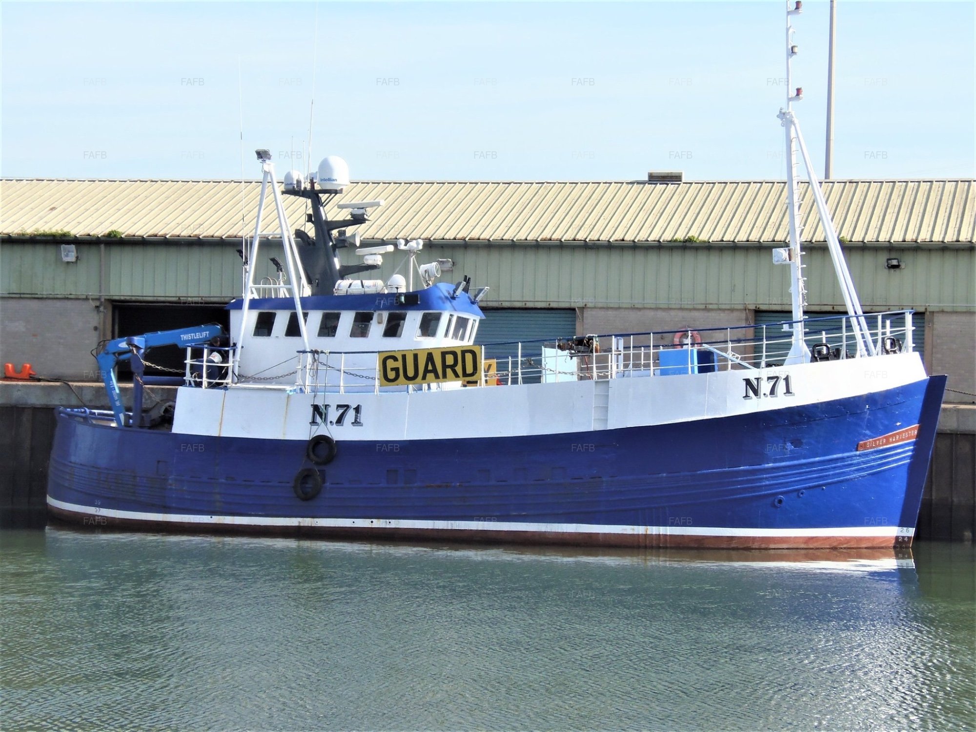 Large picture for advert 103563