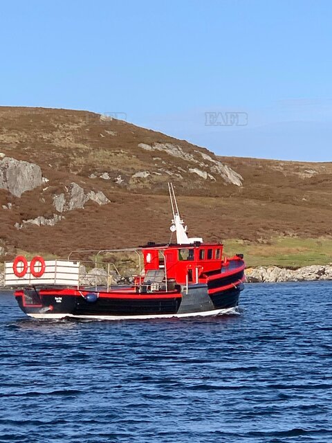 Large picture for advert 130613