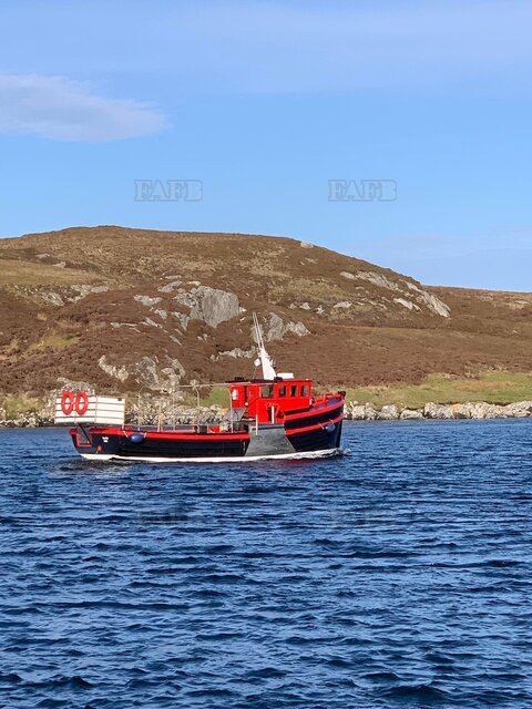 Large picture for advert 130613
